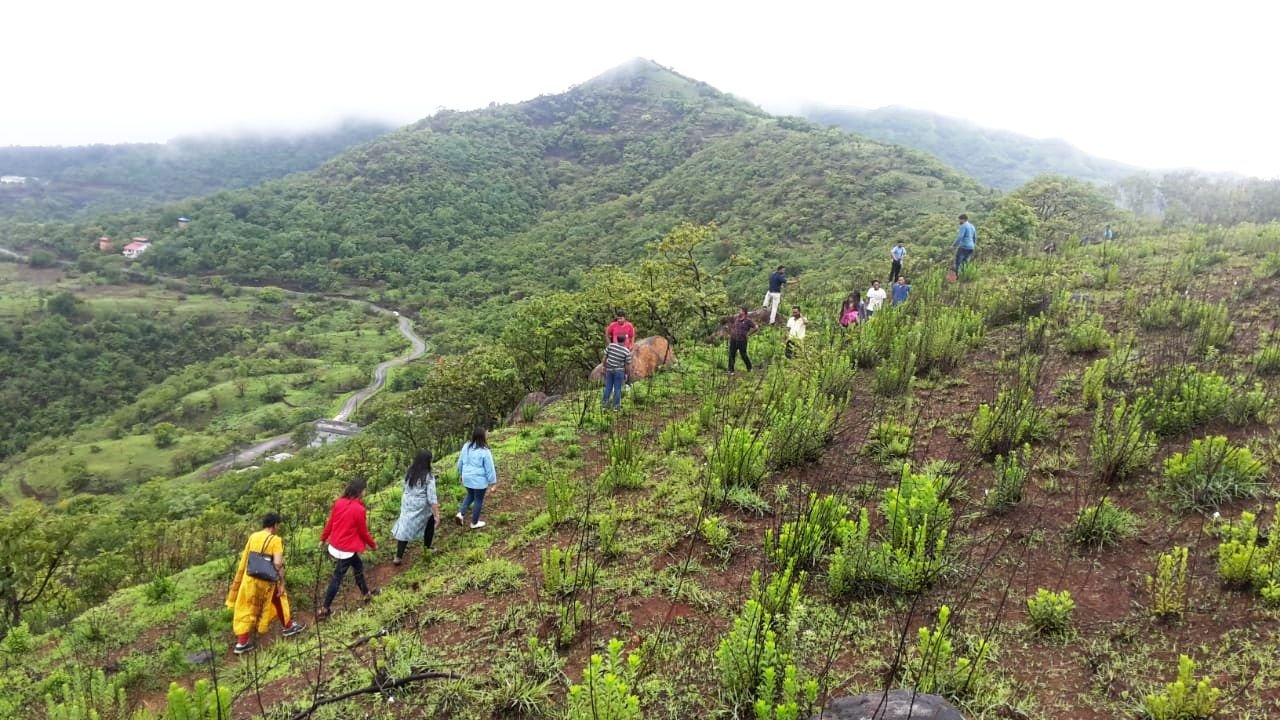 Jungle Trek